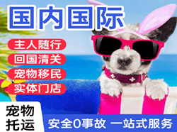 白城机场快运国际宠物托运 【国